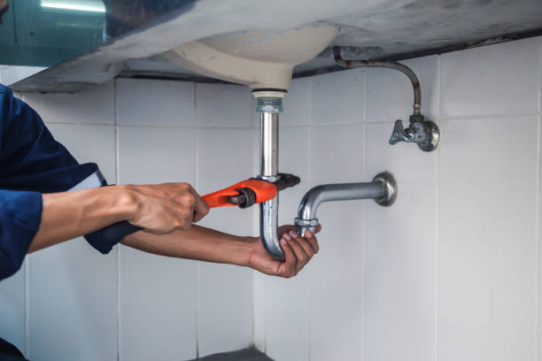 Best Local Plumber Services  in Waldo, AR